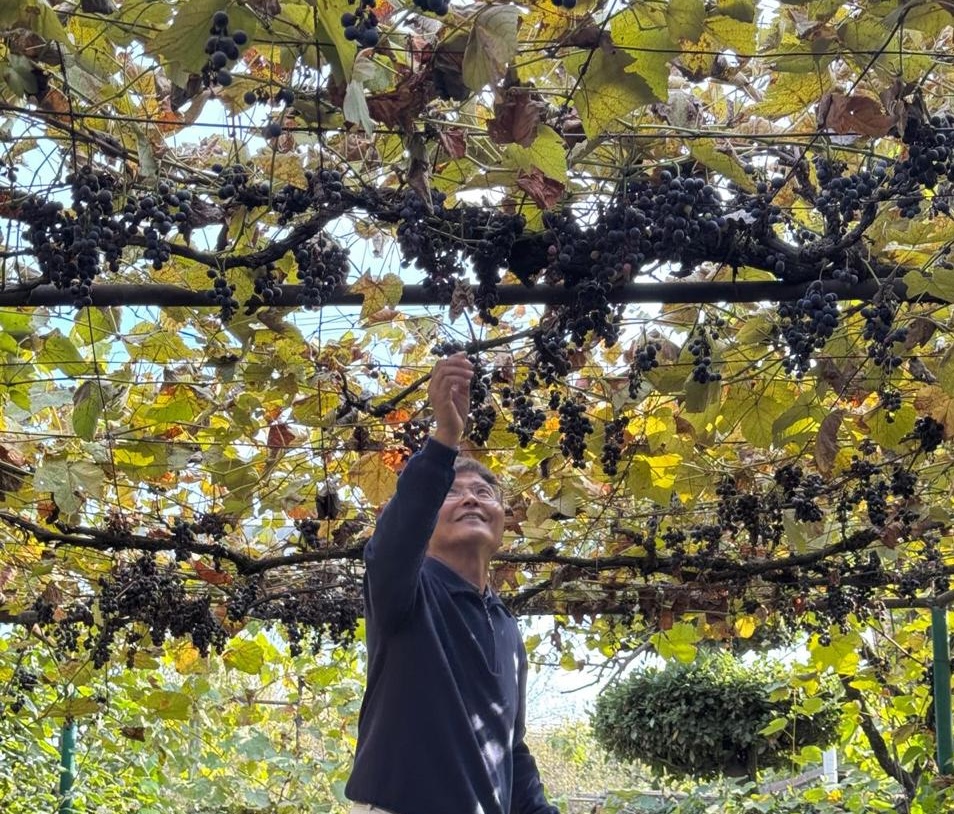 Kakheti Wine Experience – Sighnaghi, Gori & Traditional Georgian Tastings