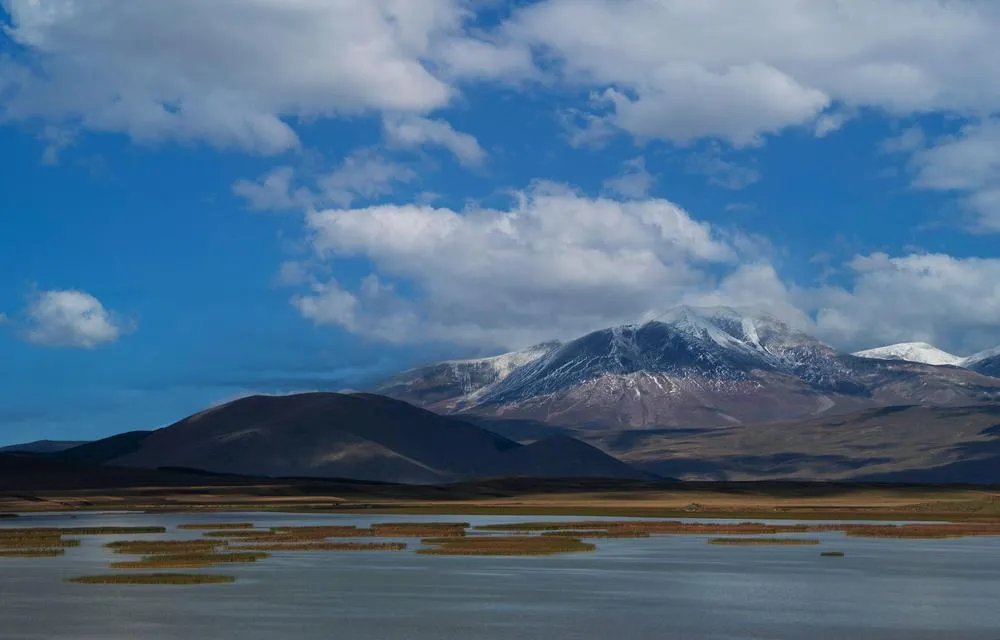 Fishing Adventure in Georgia