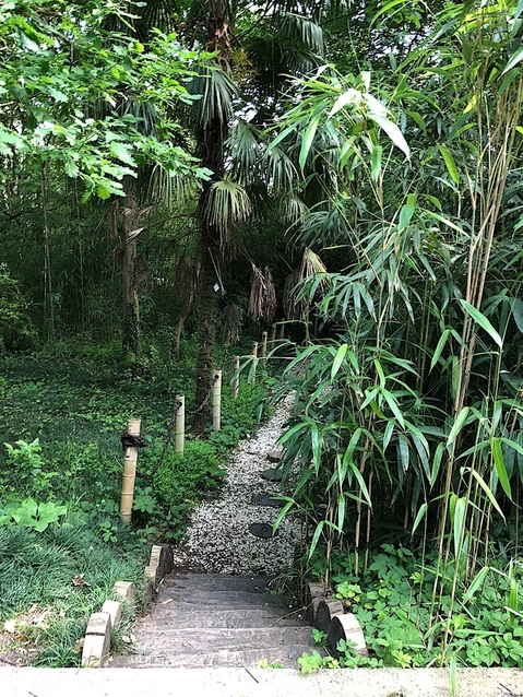 Kutaisi Botanical Garden